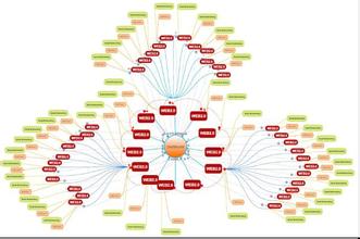 �������������齫����Ƶ���㶫�ݶ�����ֳ�������17������ 4������Ա����(ͼ)...